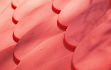 Kings Thorn plastic roof costs